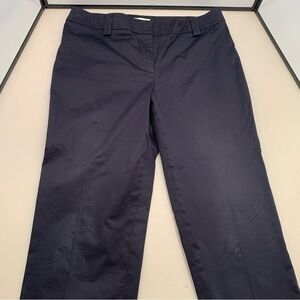Ann Taylor Loft Flat Front Dress Pants Navy Blue Size 10